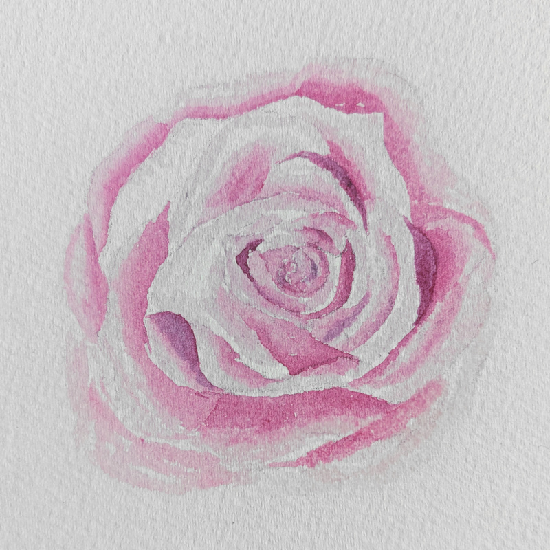 Aquarell Rosen malen – Nina Paints