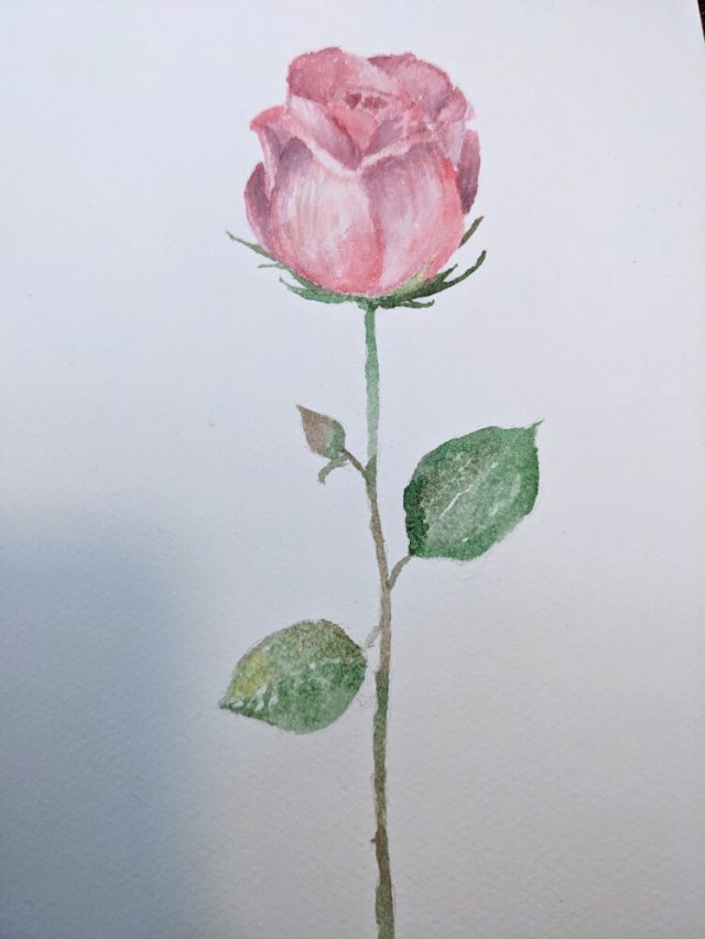 Aquarell Rosen malen – Nina Paints