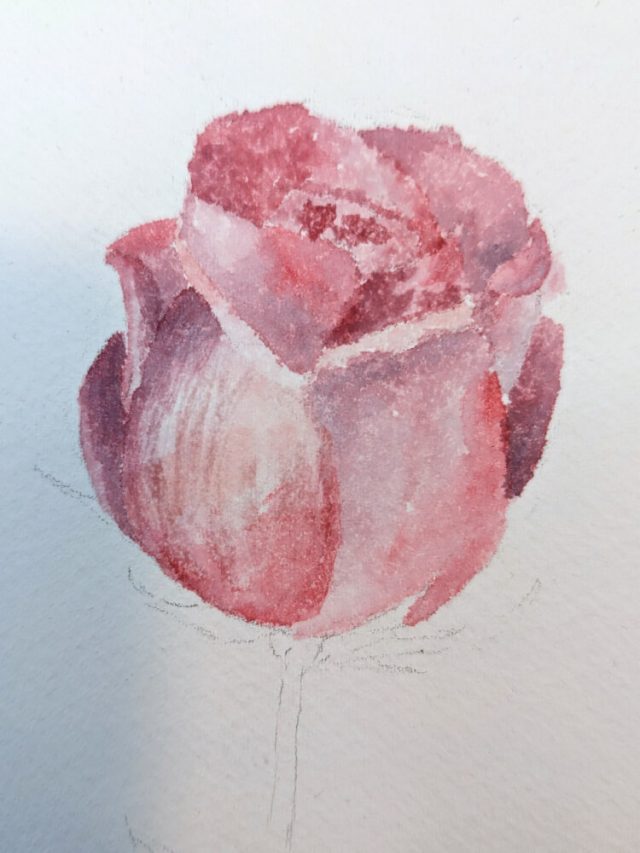  Foto zu Aquarell Rosen malen – Drei Anleitungen 