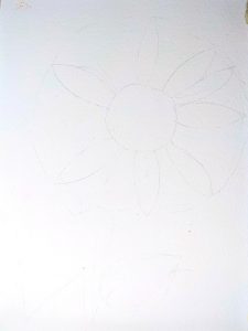 Bleistiftvorzeichnung Sonnenblume Aquarell