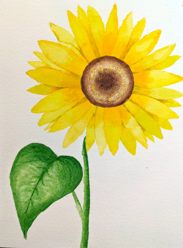 Sonnenblume fertig aquarelliert