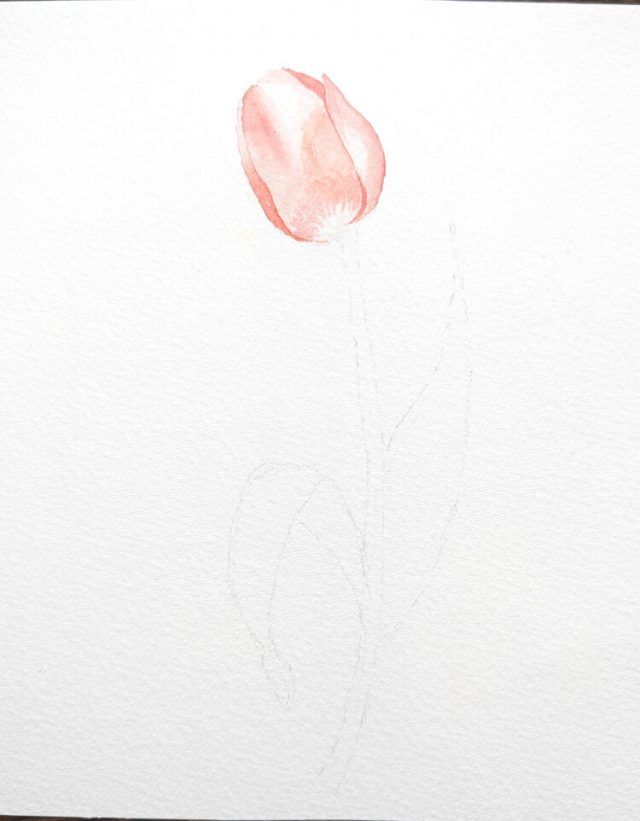 Aquarell Tulpen malen – Nina Paints
