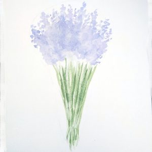Erste Schicht des Lavendelstrausses fertig aquarelliert