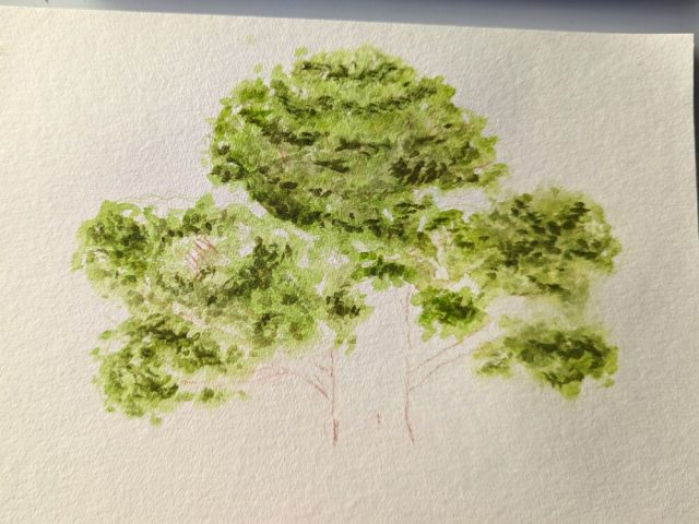 Aquarell Bäume malen – 3 Anleitungen